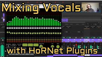 How to mix vocals with HoRNet Plugins - Webinar