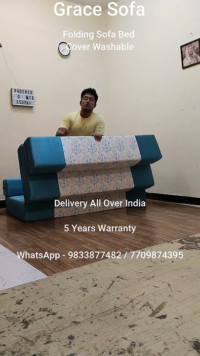 sofa bed folding sofa cover #animalmoviesongs #couch #sofadesign #foldingbed