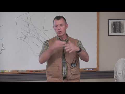 Thinning Maple Tree's