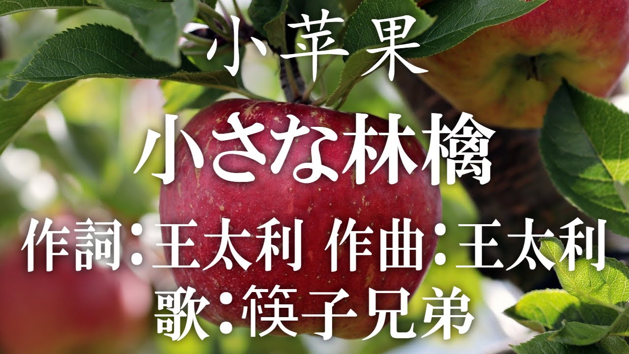 小苹果 小さな林檎 中国音楽 Youtube