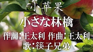 小苹果【小さな林檎】中国音楽