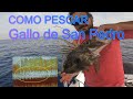 Video de San Pedro del Gallo