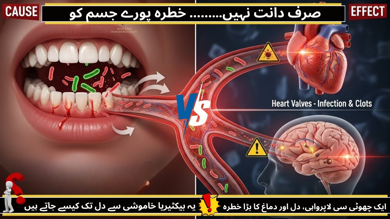 How Mouth Bacteria Reach Your Heart & Brain | Shocking Science Facts