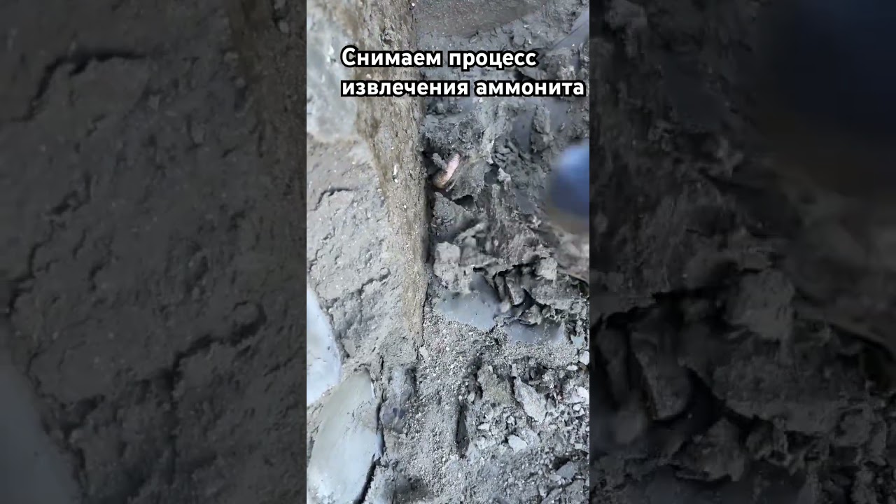 В этот раз всё закончилось более-менее благополучно☺️