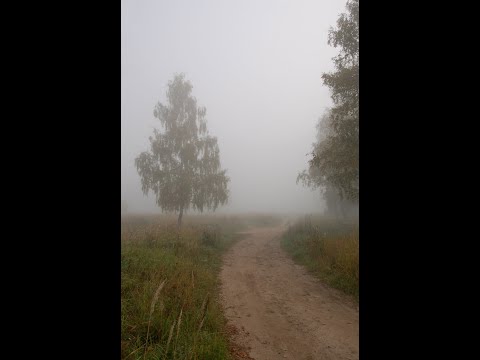 ჯადო \"უხილავი\" ისტორია 1 (ვიდეო 13)