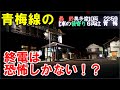 【秘境奥多摩へ】乗り過ごしたら恐怖の青梅線奥多摩行きの終電に乗ってみましょう