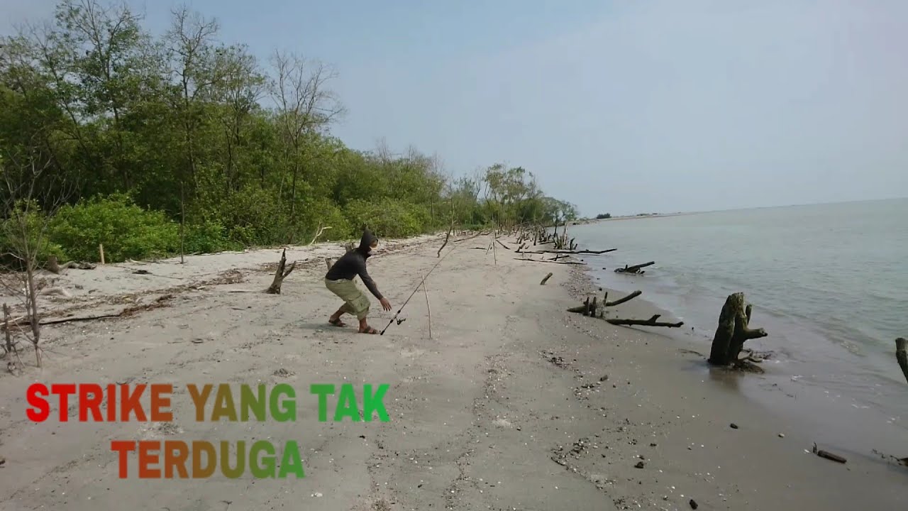 Spot mancing di muara sungai ular || Hasilnya tak terduga || vlog 12