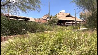 Disney World’s Animal Kingdom Lodge Jambo House  Area Music BGM  Atmosphere Ambience