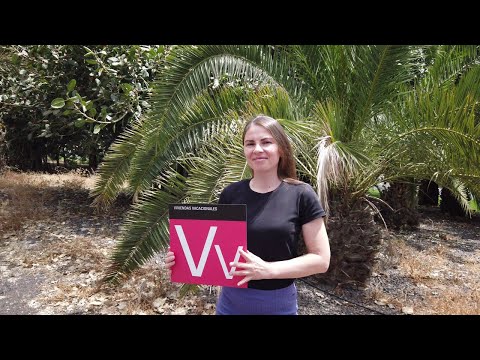 Video: Stinson Beach: Vad du behöver veta innan du reser