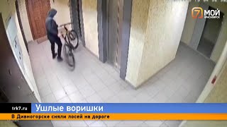 Красноярец смонтировал забавный ролик о том, как у него украли велосипед