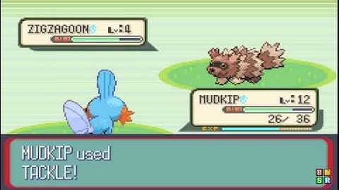 pokemon ruby-part 5 rustbro city