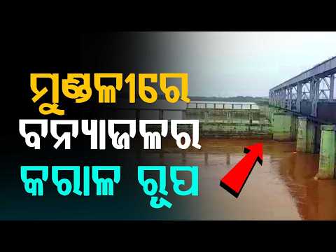 Mahanadi Water Level Rises at Mundali: Over 5 Lakh Cusecs Flow as Hirakud Opens 12 Gates |Argus News