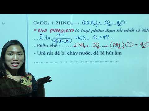 Video 12. Phân Bón Hóa Học│Hóa Lớp 11│Nguyễn Phúc Hậu EDU - youtube