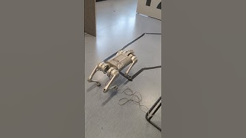 Unitree Go1 Edu controlled via keyboard with ROS noetic (mechatronics FYP)