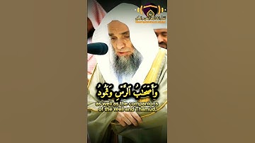 {كُلّٞ كَذَّبَ ٱلرُّسُلَ فَحَقَّ وَعِيدِ} تلاوة حزينة ومؤثرة تبكي الشيخ أ.د فيصل غزاوي