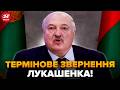 🤯Ну і НОВИНИ! Лукашенко ВИБУХНУВ ЗАЯВОЮ. Ви НЕ ПОВІРИТЕ, що сказав про ВІЙНУ. Всі аж ОСТОВПІЛИ