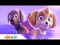 Psi Patrol | Pieski ratują psyrenkę | Nick Jr.