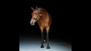 Riggs - Gaits