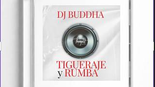 Dj Buddha - Tigueraje y Rumba (Extended Mix) (Lyric Video)