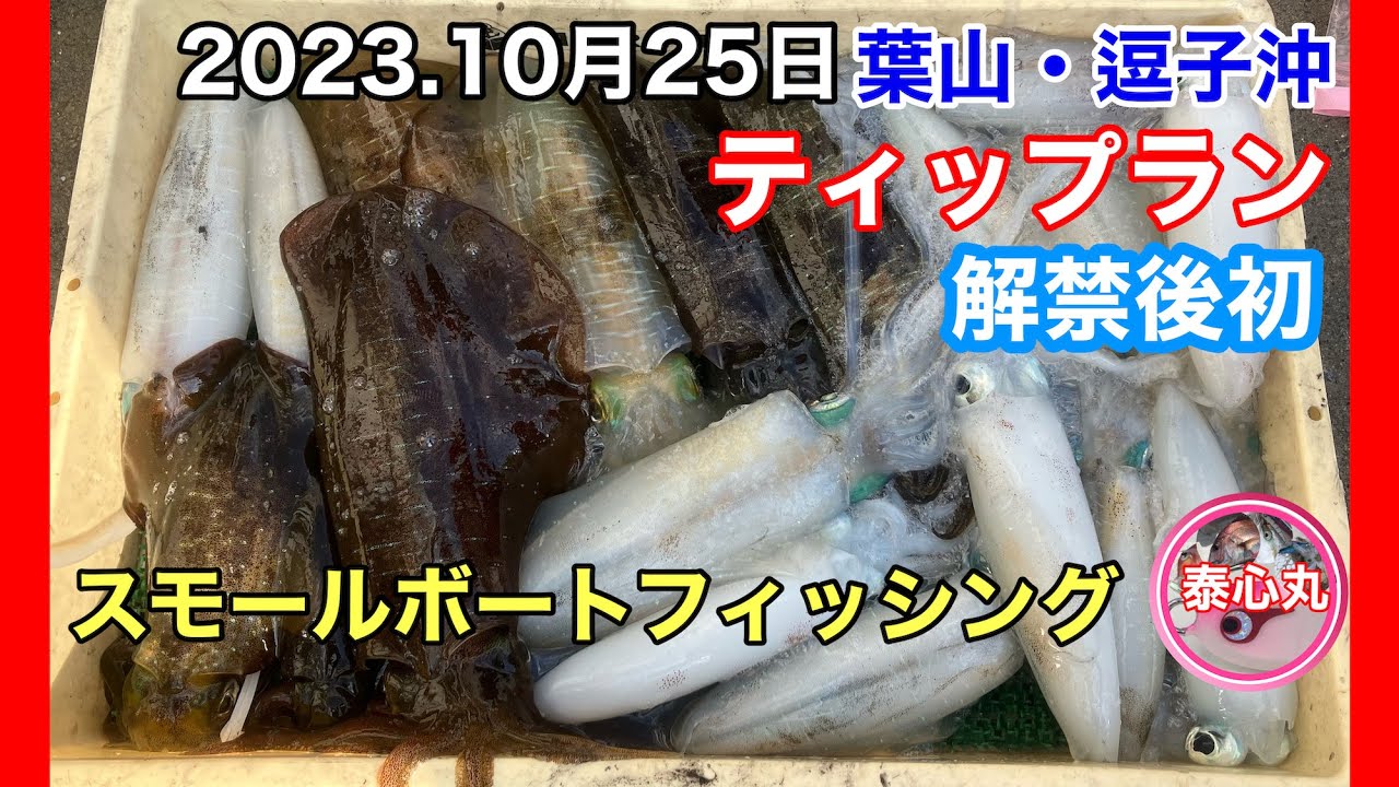 ティップラン】#51 ようやくアオリイカ解禁！楽しい葉山・逗子沖の 