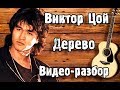 ВИКТОР ЦОЙ  - ДЕРЕВО | Кавер + Разбор На Гитаре | Как Играть Песню Дерево - Кино