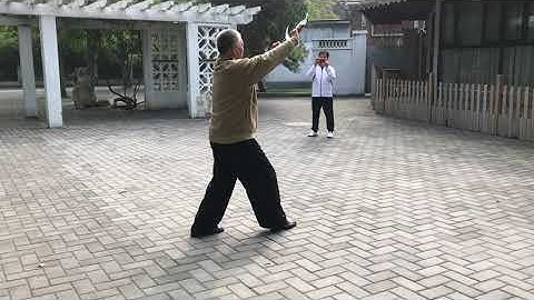 程式八卦掌名家　劉敬儒老師　八卦子午鴛鴦鉞　２０１７　cheng-shi baguazhang  Grandmaster Liu jing ru