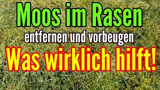 Moos im Rasen das hilft wirklich - Die besten TIPPS gegen MOOS im Rasen entfernen und vorbeugen