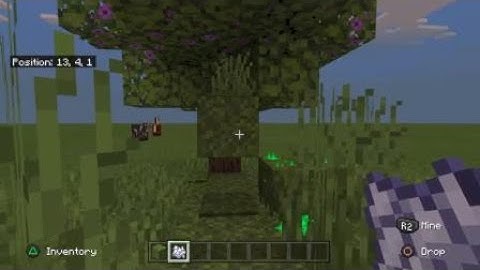 How To Grow Azalea From Moss Block Minecraft Use Bone Meal On Moss For A Chance To Find It