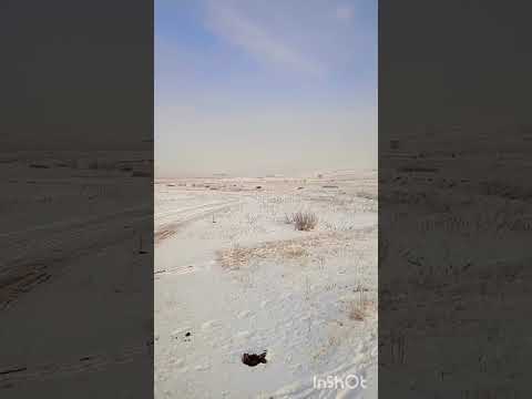 Едим на Онон (1).#россия,#онон,#shorts,#зима,#дорога,#природа,#nature,#winter,#snow,#снег,#горы,#топ