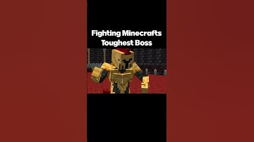 Fighting The TOUGHEST Minecraft BOSS, The King Of Nether #minecraft #minecraftmemes