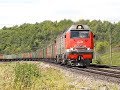 2ТЭ25КМ-0186 с грузовым поездом, перегон Присады - Дедилово