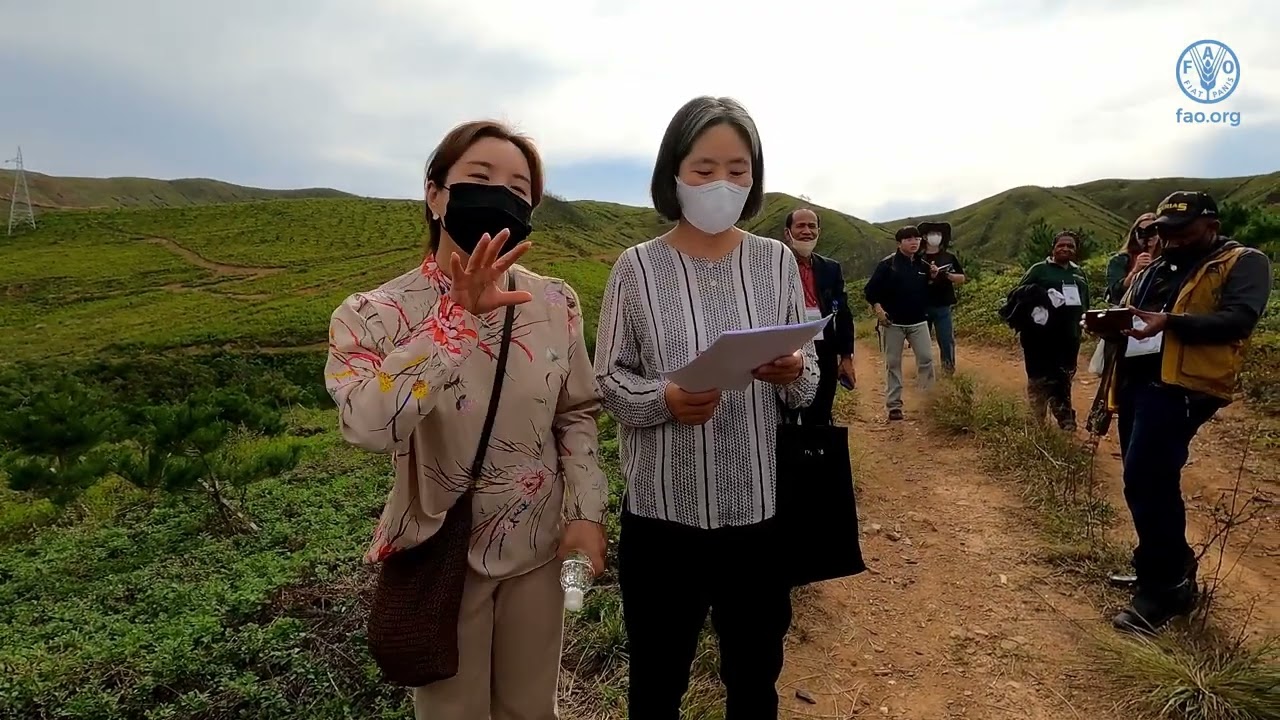 Gangneung Forest Fire Site
