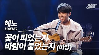 해노(HAENO) - 꽃이 피었는지 바람이 불었는지❤️🌻 [미방분]