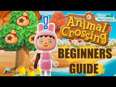 The Ultimate Beginners Guide - Animal Crossing New Horizons Tips & Tricks