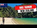 Abel tasman national park new zealand one day nature hike