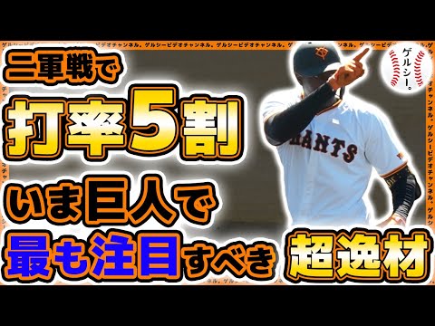 【巨人】二軍戦で打率5割と打撃絶好調!2024年最も注目すべき巨人の育成選手|ティマ選手の3月ハイライト動画|読売ジャイアンツ球場|プロ野球ニュース