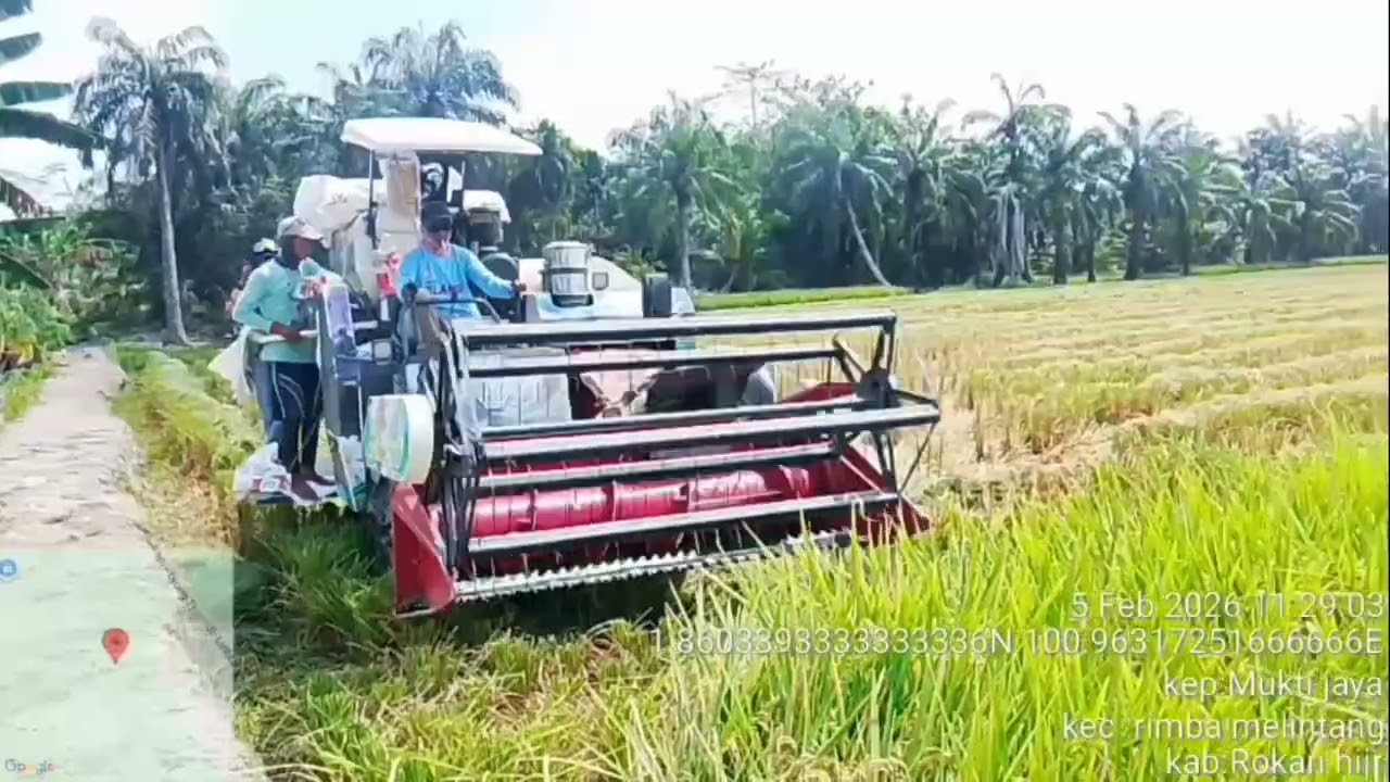 Brigade pengan pemuda setia tani Rokan baru pesisir 