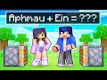 Aphmau + Ein = ??? In Minecraft!