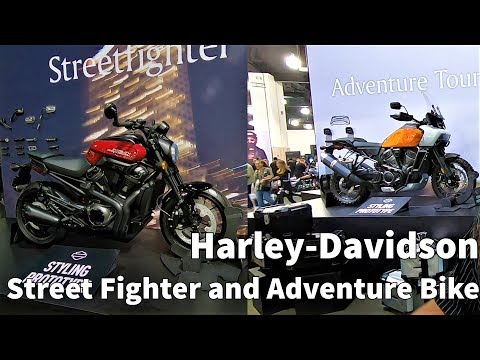 Video: This is what Harley-Davidson's Pan America and streetfighter prototypes look like for the first time