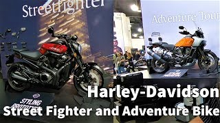 Harley-Davidson Adventure Bike and Street Fighter: Prototypes Shown Up Close
