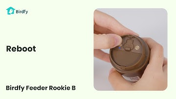 Reboot - Birdfy Feeder Rookie B Tutorial