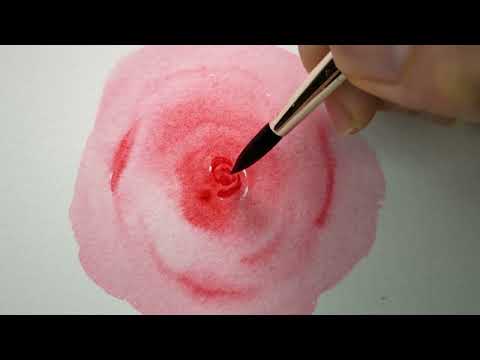Round Tip Watercolor Paint Brushes - Woodlark Shop