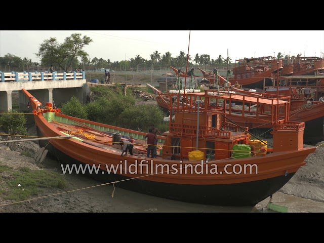 Fishing boats parked at the Frasergunj Harbour in West Bengal