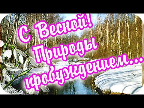Доброе утро! ❤️С Весной! ❤️Природы пробуждением! ❤️Желаю весеннего настроения!❤️Good morning!❤️