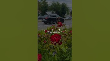 ليس عليكم جناح ان تبتغوا فضلا من ربكم|القارئ علي جابر 🤍|#flyxo #assamtezpur #اكسبلور #المصحف #قرآن