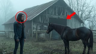 The Horse's Warning Angelina Jolie Uncovers a Shocking Secret in the Old Shed