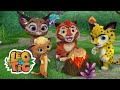 Leo & Tig - Сervo vermelho (episódio) | Desenhos infantil 🐯🦁