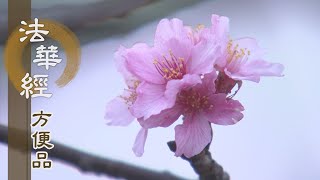 【靜思妙蓮華】法華經方便品 - 待機說佛慧 - 20200618 第340集