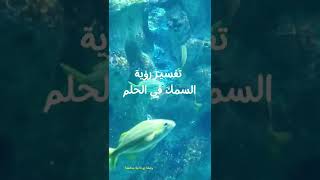 تفسير رؤية السمك في الحلم #تفسير_احلام #تفسير_الاحلام #تفسير #تفسر_حلم #تفسير_الرؤى #احلام