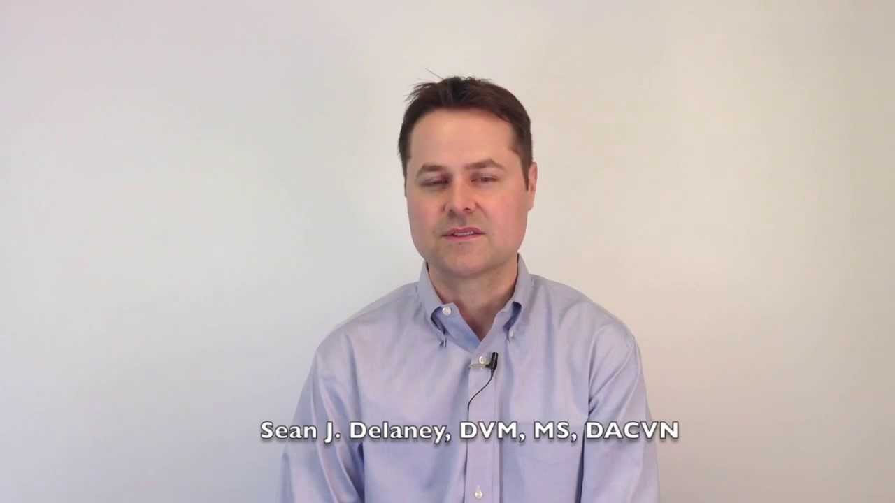 Nutritional Management Of Renal Disease YouTube nutritional-management-of-renal-disease-youtube